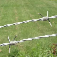 Protective Barbed Wire Double-Twisted Barbed Wire Barbed Wire Net Hot-DIP Galvanized Wire Net - Image 1