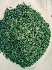 Moringa Leaves - Image 1