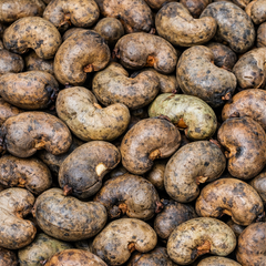 CASHEW NUTS – product photo 1, product detail gallery