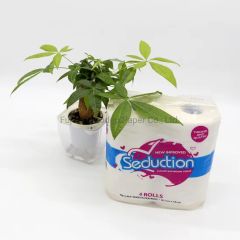 Toilet Paper in 4-Grain Rolls Biodegradable Embossed Toilet Paper - Image 4