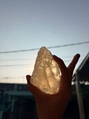 Gum Damar Indonesia - Image 2