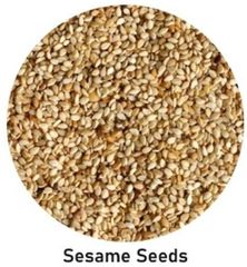 SESAME SEED IN NIGERIA ORIGIN A+ CORPS – product photo 1, product detail gallery