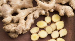 Ginger - Image 1
