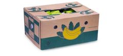 Hot Sale 2024 New crop Cavendish Vietnamese Bananas with High Quality Fresh bananas With Competitive Price – product photo 5, product detail gallery