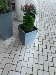 Exterior - Image 5