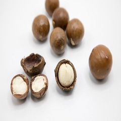 Export Macadamia Nuts Premium Grade Whole Kernels Clean Fresh High Nutrition Suitable For International Buyers Chocolate And Bakery Industry Buy Now Fast Delivery Premium Quality Wholesale – product photo 5, product detail gallery