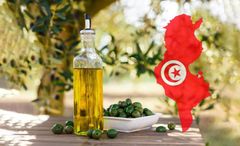 Olive oil – product photo 1, product detail gallery