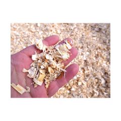 Bulk supply of sustainably sourced  - Image 3