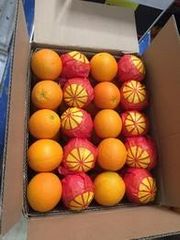 Valencia Oranges 🍊🍊 Form Egypt Grade 1 . 2 Texture Firm Appearance Bright Juice Content High Flavor Bright, Tangy Sweetness - Image 2