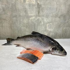Premium Export Quality Frozen Atlantic Salmon Best Price Seafood for Restaurants Hotels Food Service and International Buyers - Image 3