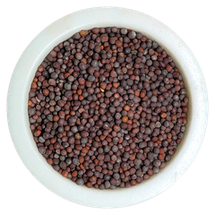 We specialize in indian spices like cumin seeds, mustard seeds, turmeric, red chilli ETC - Image 1