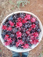 Chamomile, hibiscus and mint - Image 3