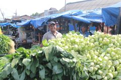 Company – thumbnail 10 of 12, supplier detail gallery