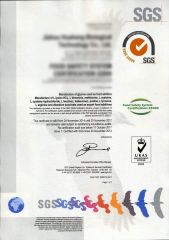 Food Safety SystemCertification 22000 certificate from Guangzhou Zio Chemical Co., Ltd.