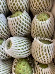Company – thumbnail 19 of 23, supplier detail gallery