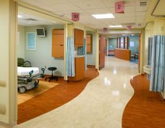 Clinic Interior Finish Options Vibrant Finish Scope Of Work Turnkey Solution Color Matching Matching Color Codes Design Compatibility Perfectly Gel With The - Image 9