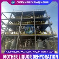 Forced Circulation Triple-Effect Evaporation Freeze Crystallization Equipment - Image 6