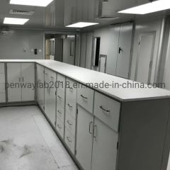 Science Research Other Furniture Science Lab Furniture Origin China HS Code 9403 Condition Used Model NO. PWQG-626 Color Grey with - Image 3