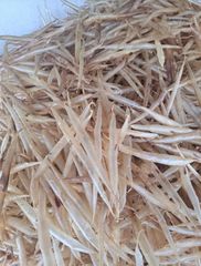 Dry Eel fish maw Fright Type By Air Payment Terms TT & LC Packing Quantity 10 Kgs Box - Image 1