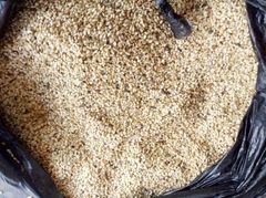 SESAME SEEDS – product photo 1, product detail gallery