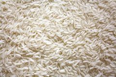 Company – thumbnail 5 of 6, supplier detail gallery