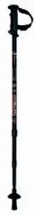 Ski Poles (LY-102) Trademark BEST Model NO. LY-102 Production Capacity: - Image 1