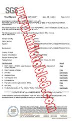 Lamzac bag SGS certificate from Guangzhou Caixin Inflatable Products Co., Ltd.