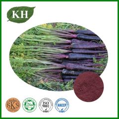 Health Food Natural Black Radish Powder - Image 1