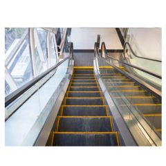 New Design Electrical High Speed Sidewalk Moving Walks Ecalatoer - Image 5