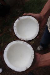 Semi Husked Coconut – product photo 2, product detail gallery