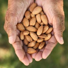 Best Quality Almond Nuts Premium Natural Shelled and Unshelled Fresh Healthy Snack for Cooking Baking and Export - Image 2