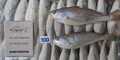 Company – thumbnail 2 of 11, supplier detail gallery