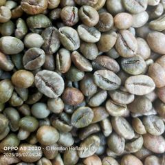 Robusta Coffee Beans – product photo 2, product detail gallery
