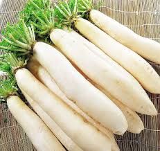 Standard Quality Fresh Radish Exporter from India Address - Content N/A Type radish Color White Style Fresh Model Number - Image 2