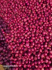 Red Onion – product photo 2, product detail gallery