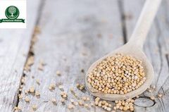 Mustard seeds - Image 2