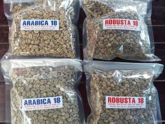 Premium Kenyan Arabica & Robusta Coffee Beans for International Export High-Quality Arabica and Robusta Coffee Beans Sourced from Kenya for Export Export-Grade Kenyan Arabica & Robusta Green Coffee Beans Authentic Kenyan Arabica and Robusta Coffee Beans for Global Markets Freshly Sourced Arabica & Robusta Coffee Beans from Kenya – Export Quality - Image 2