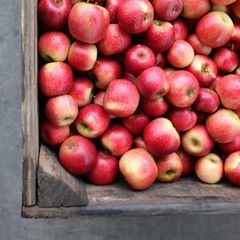 FRESH Cripps Red Apples for sale - CLASS 1 Export Quality Cripps Red Apples from South Africa – product photo 5, product detail gallery