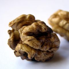 Fresh Walnut Premium Walnut Sourced From Top Farms And Packed For Safe Delivery Worldwide - Image 3
