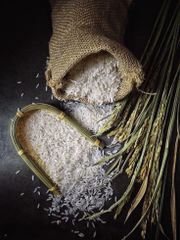 Premium Basmati Rice – product photo 1, product detail gallery