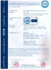 Certification of HSY electric hosit crane certificate from Shanghai Yiying Crane Machinery Co., Ltd.