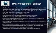 Brazilian Chicken Paws High-Quality Export Standard - Image 4