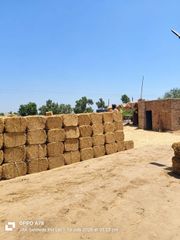 Wheat Straw Bale A+ Premium Crystal Quality | Pakistan Export | Livestock Feed Bulk Supplier - Image 3