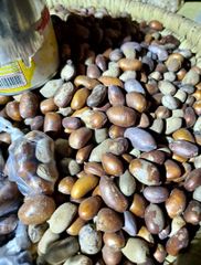 Nutmeg Form Uncut Freshness Level Dried Delivery Form Other, Package Features Fair Trade, Organic, Without Additives, Without Colourants, Without Flavor Enhancers - Image 2