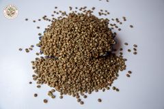 ROBUSTA SCREEN 15 - Image 4