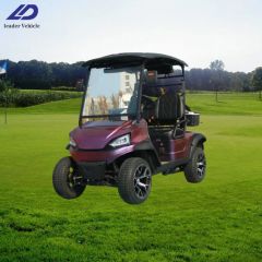 Electric Remote Control Single Seat Buggy Hunting Cart Buggies Cargo Car Trolley Golf Cart - Qingdao Leader Vehicle Industry Co., Ltd