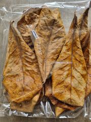Cattapa Leaves/ Indian Almond - Image 1