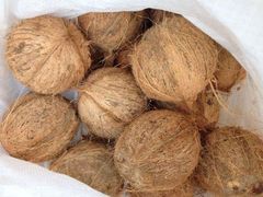 fresh coconut – product photo 2, product detail gallery