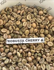 Green Coffee Beans Arabica, Robusta Grade A AA Address India Weight (kg) 60 Variety Arabica Content Caffeine Manufacturer - Image 2
