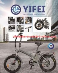 Electric Bicycle China Mountain Bicycle Urban E-Bike Beach Cruiser Motor 500 W 1000 W Fat Tire - JinHua YiFei Electric Technology Co., Ltd.